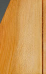Closeup of sycamore wood